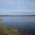 IMG_6832